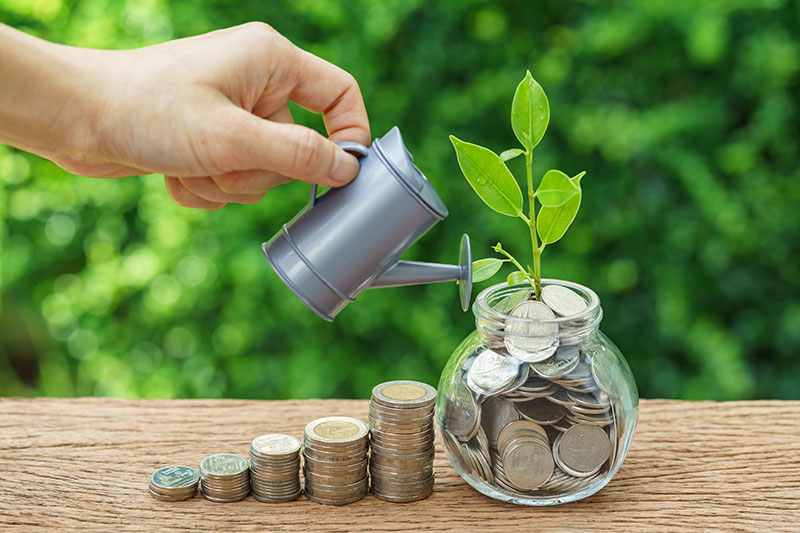 Trading Investment Services